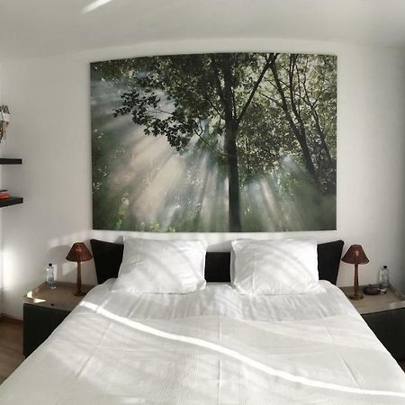 Apartment Gronau Гронау Экстерьер фото